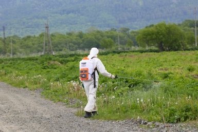 В Южно-Сахалинске очистили порядка 200 га земли от борщевика пресс-служба администрации Южно-Сахалинска