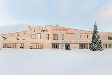 Сахалинский зооботанический парк Наталья Харламова