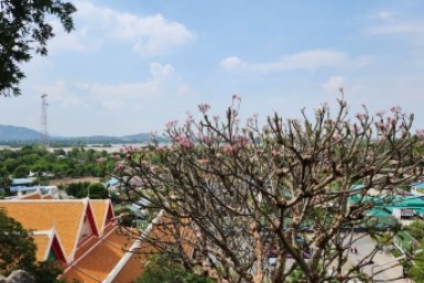 Тематическая иллюстрация Пресс-служба компании МегаФон