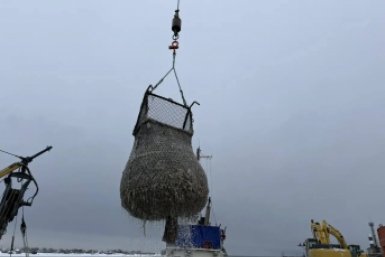 Сахалинские рыбаки добыли тысячу тонн наваги с начала года telegram-канал &quotСахалино-Курильское ТУ Росрыболовства&quot