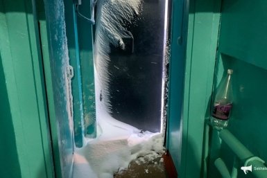 Метель в Южно-Сахалинске в 2024 году ИА SakhalinMedia
