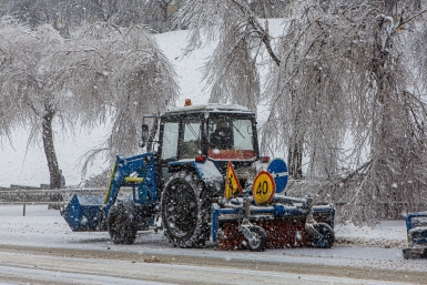 Тематическое фото Мария Смитюк, ИА PrimaMedia