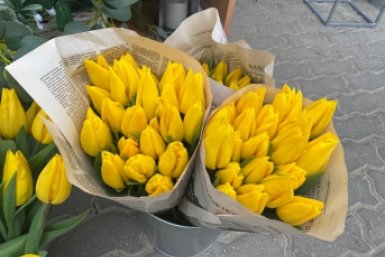 Тематическая фото Артём Хорошилов  , ИА Stavropol.Media