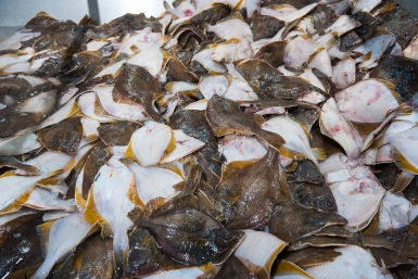 Тематическое фото Илья Аверьянов, ИА PrimaMedia