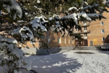 Тематическая фото Марина Кудрявцева, ИА UssurMedia.