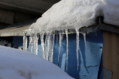 Тематическое фото Мария Оленникова, IrkutskMedia