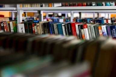 Тематическое фото Илья Аверьянов, ИА PrimaMedia.ru