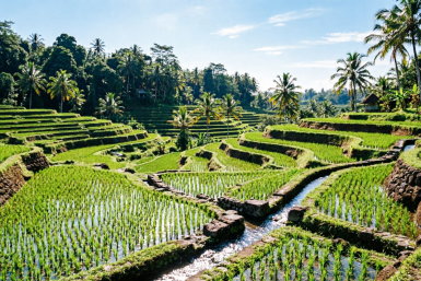 Тематическое фото ИИ Qwenlm.a (18+)