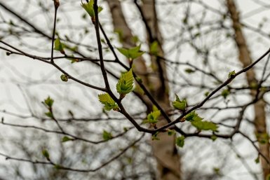 Кубань накроет новой волной тепла после короткого похолодания Илья Табаченко