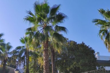 Отельеры Крыма назвали способ сохранить турпоток на фоне конкуренции с Сочи Карина Подкина