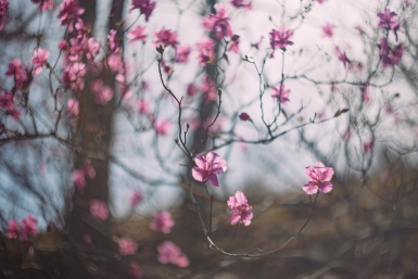 На Кубани установится переменная облачность и сухая погода Мария Смитюк