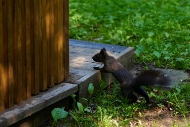 Кубанские курорты вошли в десятку лучших направлений для отдыха в апреле Дмитрий Осипчук