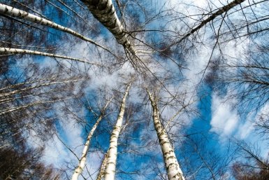 Тематическое фото pxhere.com