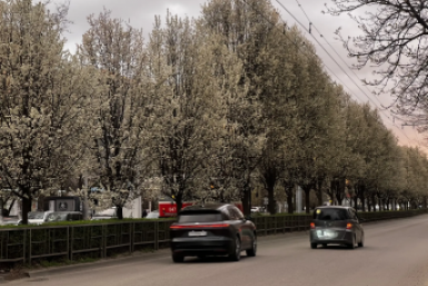 Сочи и Краснодар привлекли туристов доступными ценами на отдых в майские Светлана Юдина