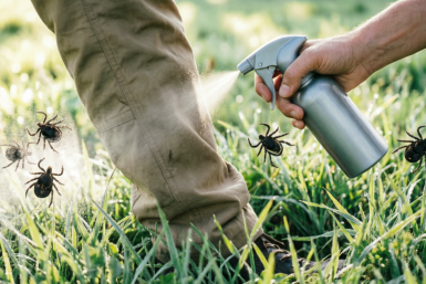 Тематическое фото ИИ Qwenlm.a (18+)