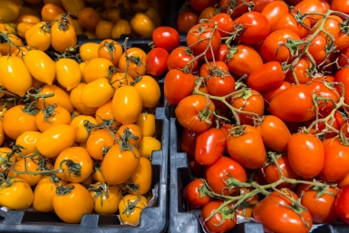 Повара объяснили, как выбрать свежие и сочные томаты вне сезона