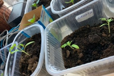 Тематическое фото Фото автора