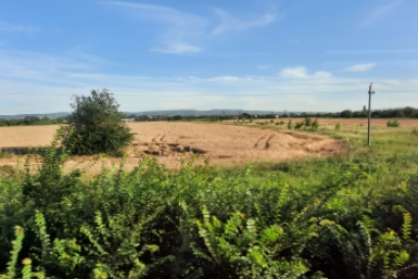 Подложные документы помогли кубанцу зарегистрировать участок в обхо Людмила Лата