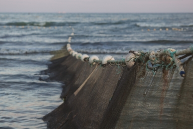 Минсельхоз предложил запретить крупные ставные неводы у восточного Сахалина