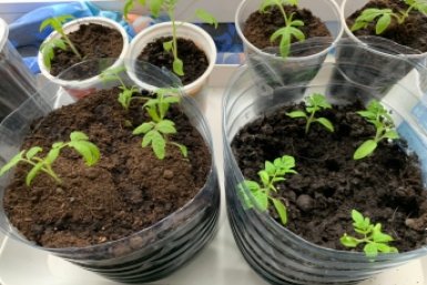 Тематическое фото Фото автора