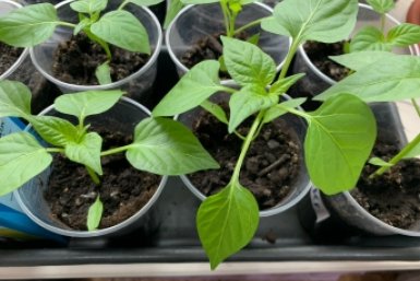 Тематическое фото Фото автора