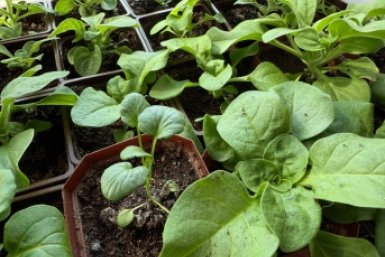 Тематическое фото Марина Кудрявцева, ИА UssurMedia