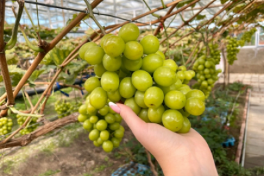 Тематическое фото ИА PrimaMedia