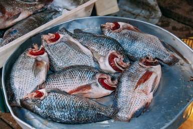 Тематическое фото Мария Смитюк, ИА PrimaMedia