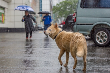 Тематическое фото Мария Смитюк, ИА PrimaMedia