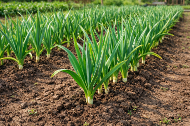 Тематическое фото Создано при помощи ИИ