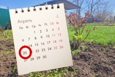 Дачники, посадите эти овощи до 20 апреля - иначе урожая не будет ИА SakhalinMedia