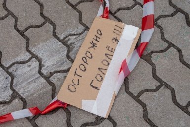 Тематическое фото Юлия Матреницкая, ИА AmurMedia.ru