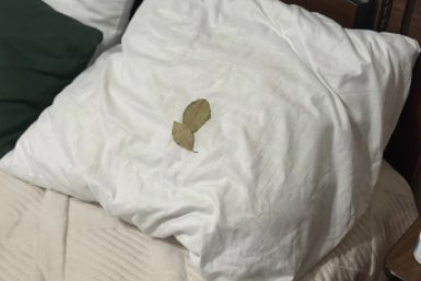 Тематическое фото ИА Stavropol.Media