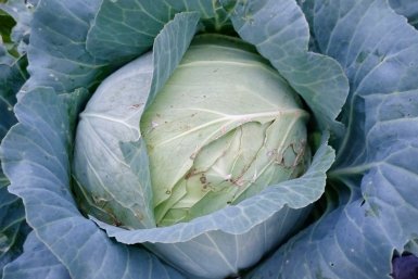 Тематическое фото Автора