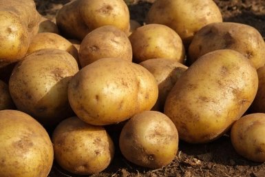 Тематическое фото Автора