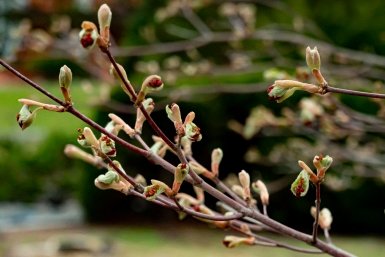 Тематическое фото Илья Табаченко, ИА PrimaMedia.ru