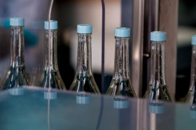 Жители Краснодарского края стали реже покупать алкоголь Илья Табаченко