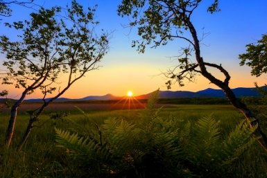 Генпрокурор назвал Сочинский нацпарк лидером по нарушениям среди заповедников Александр Хитров