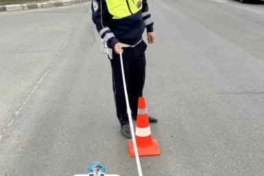 Пенсионерка в Южно-Сахалинске получила травмы при экстренном торможении автобуса пресс-служба Госавтоинспекции Сахалинской области