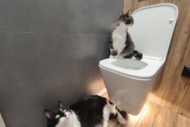 5 капель в стакан – и унитаз сияет ярче бриллиантов: ни желтизны, ни мочевого камня