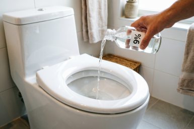 1 стакан в унитаз на ночь - утром даже вековой панцирь грязи канул в Лету: чисто, как в бизнес-классе