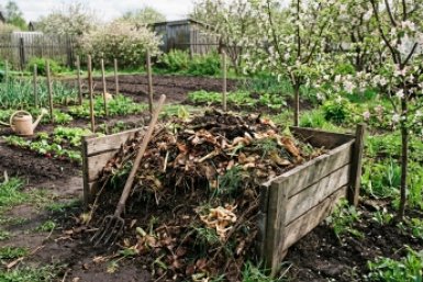 Реанимация компостной кучи: 3 действия в апреле, чтобы к лету получить "сокровище" для грядок