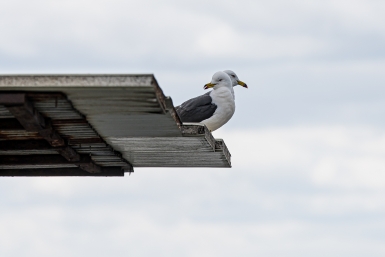 Тематическое фото Мария Смитюк, ИА PrimaMedia