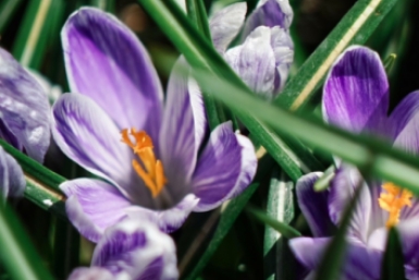 Лучшие фотографии Сахалина и Курил за неделю