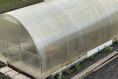 3 ошибки, которые убивают поликарбонат: обрабатываем телицу в мае правильно – рассада не болеет, а урожай зреет до заморозков