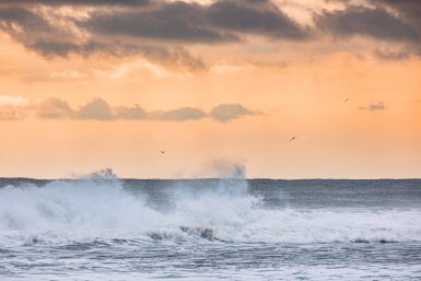 Майский Египет: днем печет, ночью трясёт — как не заболеть при перепаде температур