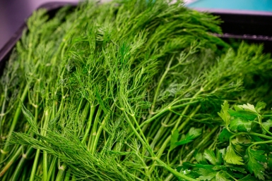 Тематическое фото ИА ПримаМедиа