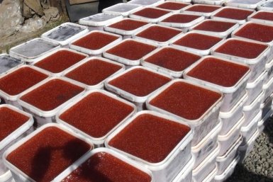 Тематическое фото 