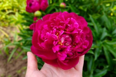 Тематическое фото ИА KrasnodarMedia