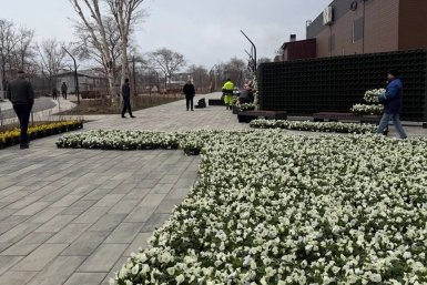 На набережной реки Корсаковка начали высаживать цветы на самой большой фитостене Сахалина пресс-служба парка Корсакова